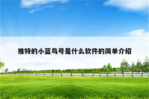 推特的小蓝鸟号是什么软件的简单介绍