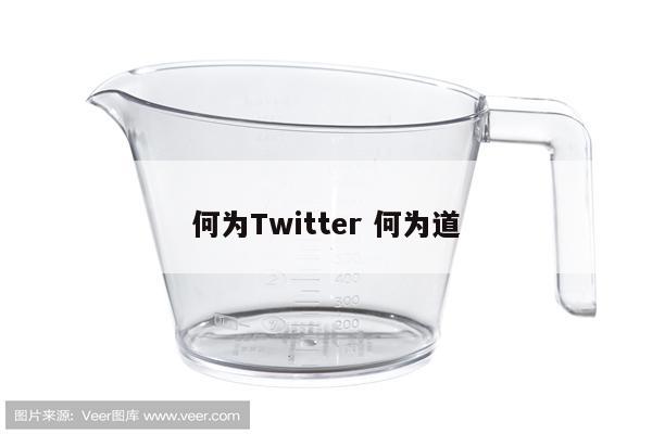 何为Twitter 何为道