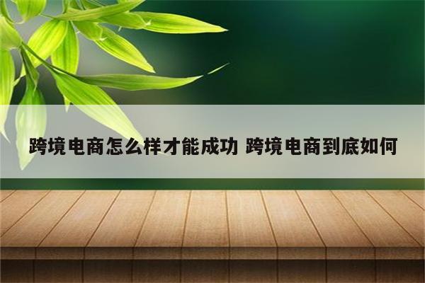 跨境电商怎么样才能成功 跨境电商到底如何