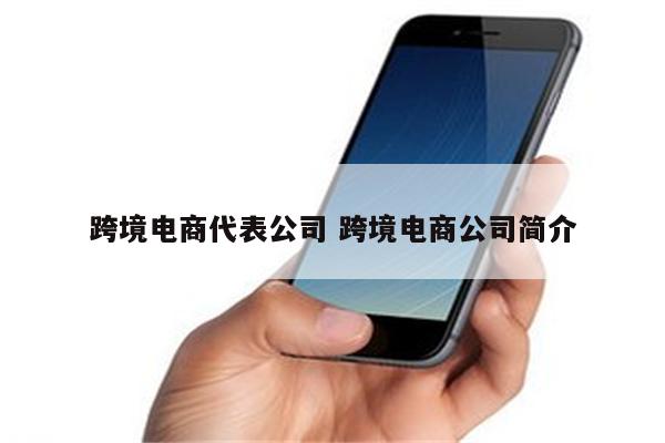 跨境电商代表公司 跨境电商公司简介