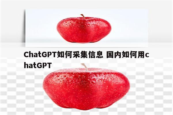 ChatGPT如何采集信息 国内如何用chatGPT