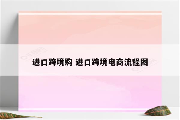 进口跨境购 进口跨境电商流程图