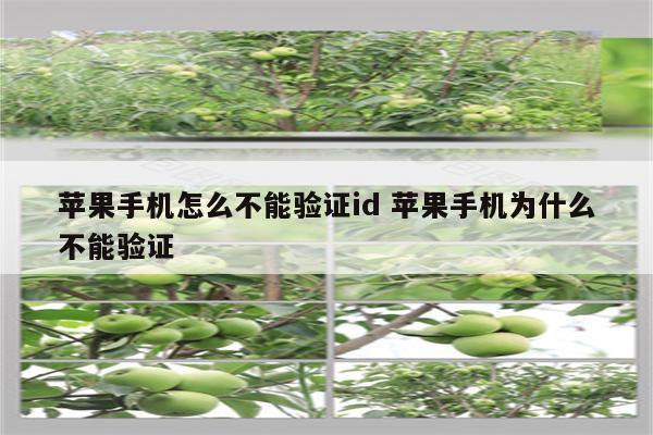 苹果手机怎么不能验证id 苹果手机为什么不能验证