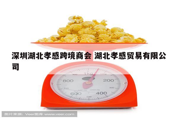 深圳湖北孝感跨境商会 湖北孝感贸易有限公司