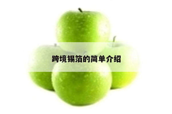 跨境锡箔的简单介绍