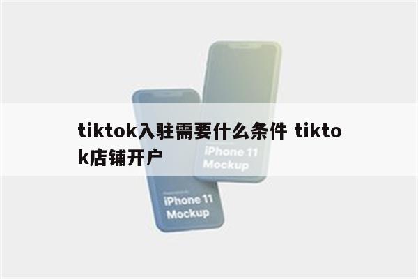 tiktok入驻需要什么条件 tiktok店铺开户