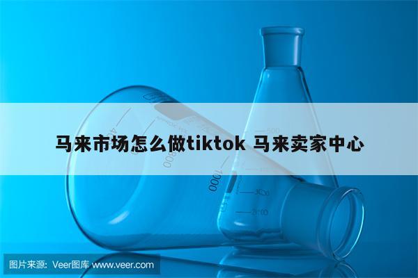 马来市场怎么做tiktok 马来卖家中心
