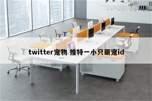 twitter宠物 推特一小只萌宠id