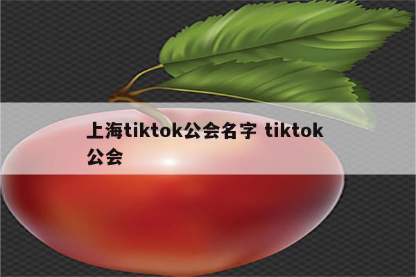 上海tiktok公会名字 tiktok 公会