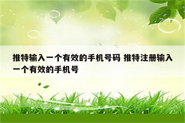 推特输入一个有效的手机号码 推特注册输入一个有效的手机号