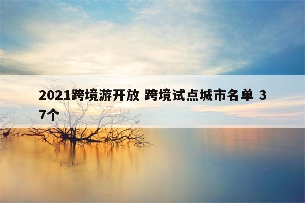 2021跨境游开放 跨境试点城市名单 37个