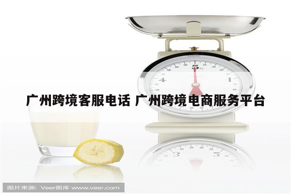 广州跨境客服电话 广州跨境电商服务平台