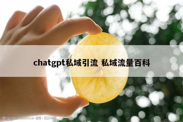 chatgpt私域引流 私域流量百科