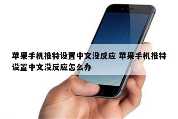 苹果手机推特设置中文没反应 苹果手机推特设置中文没反应怎么办