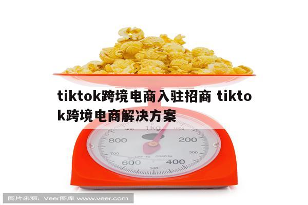 tiktok跨境电商入驻招商 tiktok跨境电商解决方案