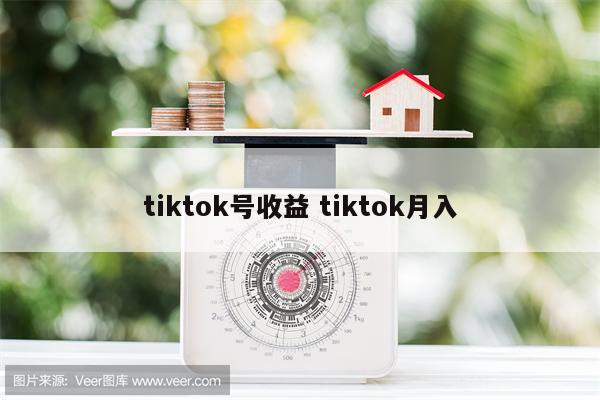tiktok号收益 tiktok月入