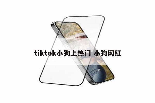 tiktok小狗上热门 小狗网红