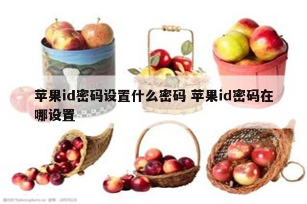 苹果id密码设置什么密码 苹果id密码在哪设置