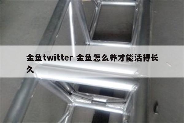 金鱼twitter 金鱼怎么养才能活得长久
