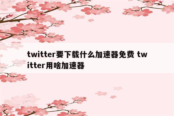 twitter要下载什么加速器免费 twitter用啥加速器