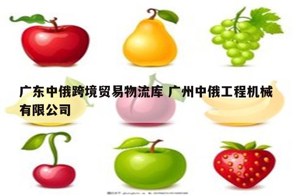 广东中俄跨境贸易物流库 广州中俄工程机械有限公司