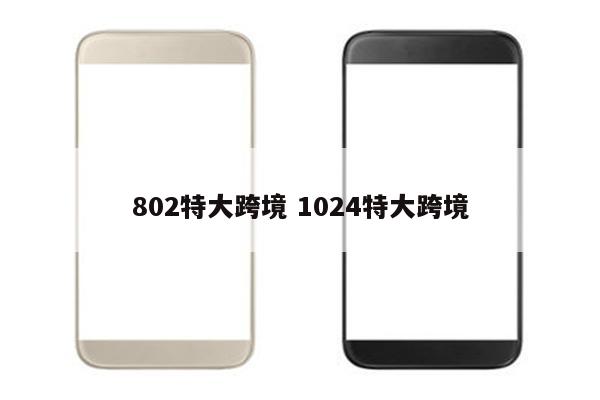 802特大跨境 1024特大跨境