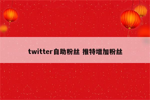 twitter自助粉丝 推特增加粉丝