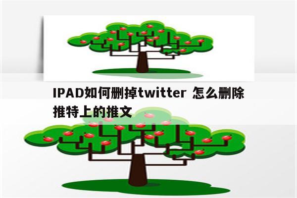 详细阅读:IPAD如何删掉twitter 怎么删除推特上的推文 IPAD如何删掉twitter 怎么删除推特上的推文