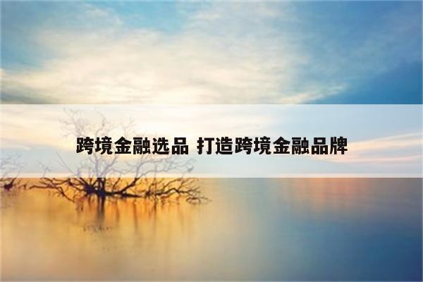 跨境金融选品 打造跨境金融品牌