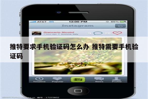 推特要求手机验证码怎么办 推特需要手机验证码