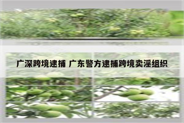 广深跨境逮捕 广东警方逮捕跨境卖淫组织