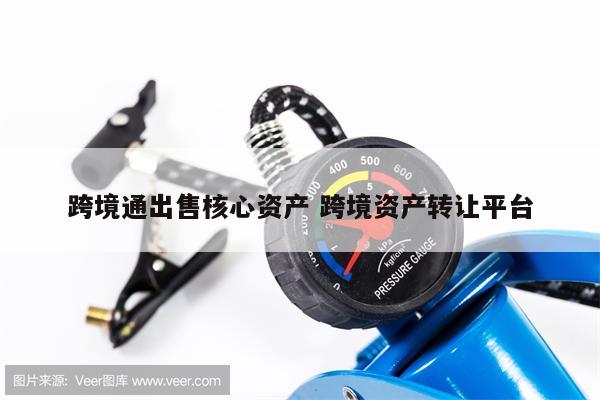 跨境通出售核心资产 跨境资产转让平台