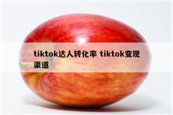 tiktok达人转化率 tiktok变现渠道