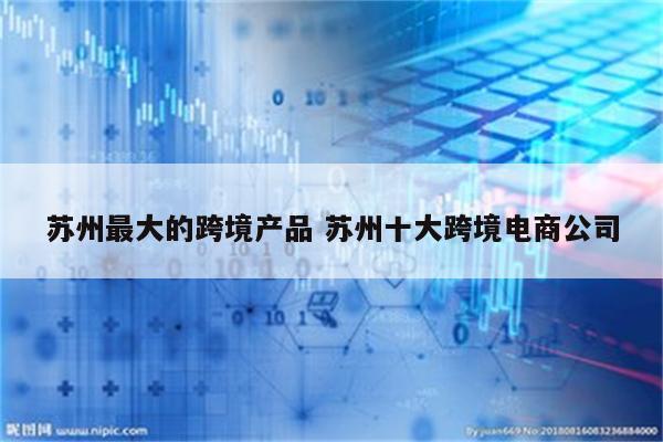 苏州最大的跨境产品 苏州十大跨境电商公司