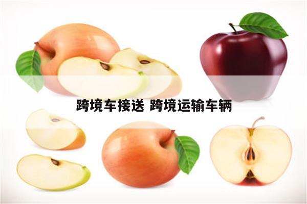 跨境车接送 跨境运输车辆