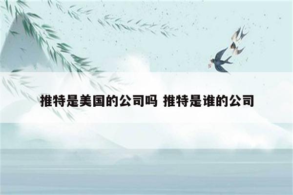 推特是美国的公司吗 推特是谁的公司