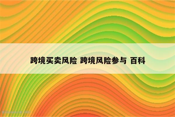 跨境买卖风险 跨境风险参与 百科