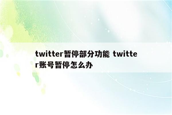 twitter暂停部分功能 twitter账号暂停怎么办
