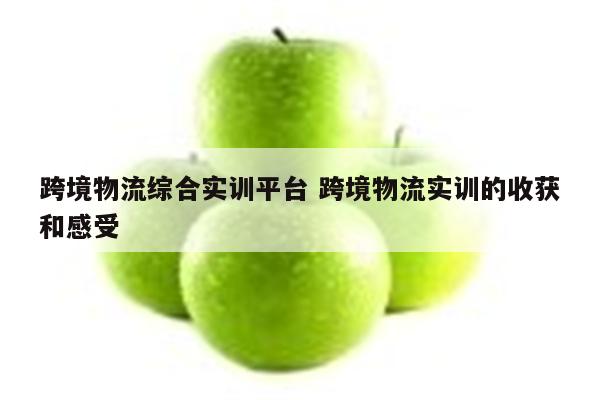 跨境物流综合实训平台 跨境物流实训的收获和感受
