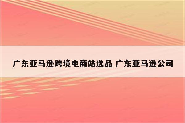 广东亚马逊跨境电商站选品 广东亚马逊公司