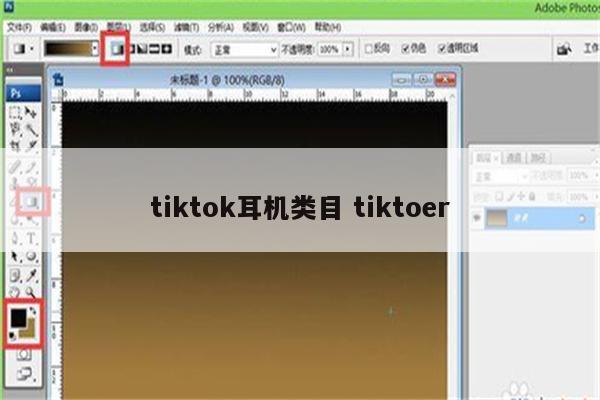 tiktok耳机类目 tiktoer