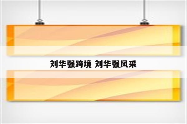 刘华强跨境 刘华强风采