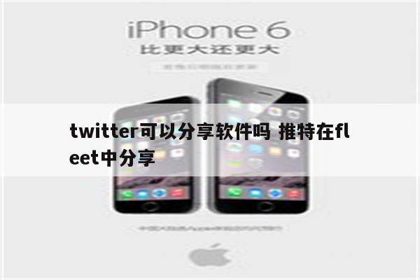 twitter可以分享软件吗 推特在fleet中分享