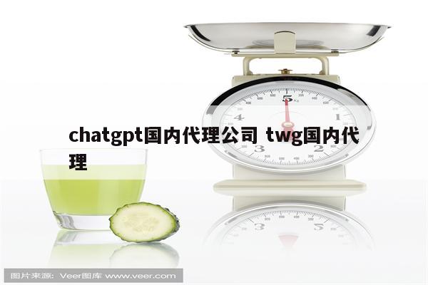 chatgpt国内代理公司 twg国内代理
