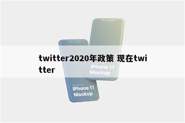 twitter2020年政策 现在twitter