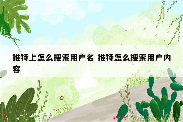 推特上怎么搜索用户名 推特怎么搜索用户内容