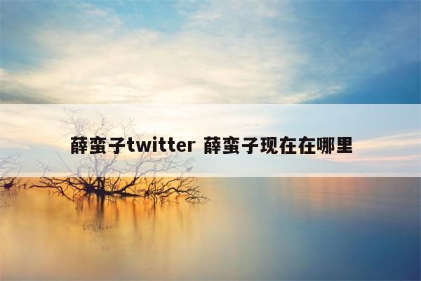 薛蛮子twitter 薛蛮子现在在哪里