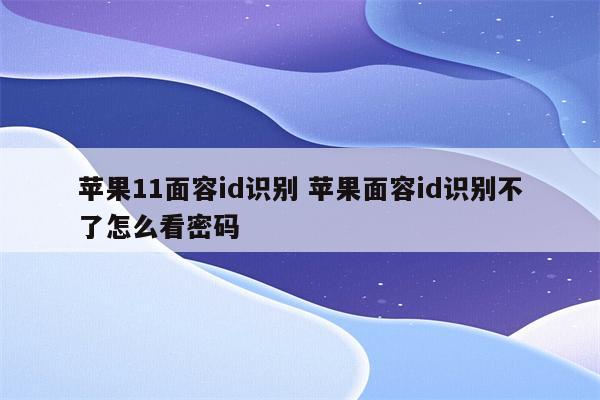苹果11面容id识别 苹果面容id识别不了怎么看密码