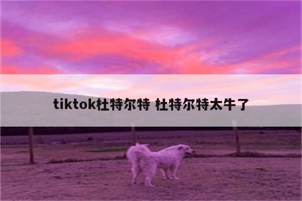 tiktok杜特尔特 杜特尔特太牛了