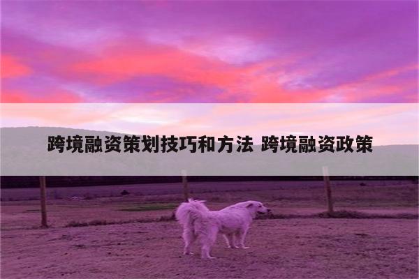 跨境融资策划技巧和方法 跨境融资政策